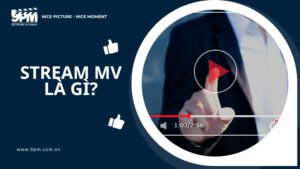 stream mv là gì