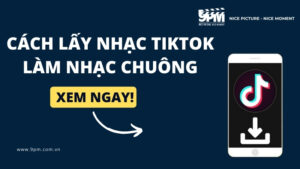 Cách lấy nhạc Tiktok làm nhạc chuông địên thoại