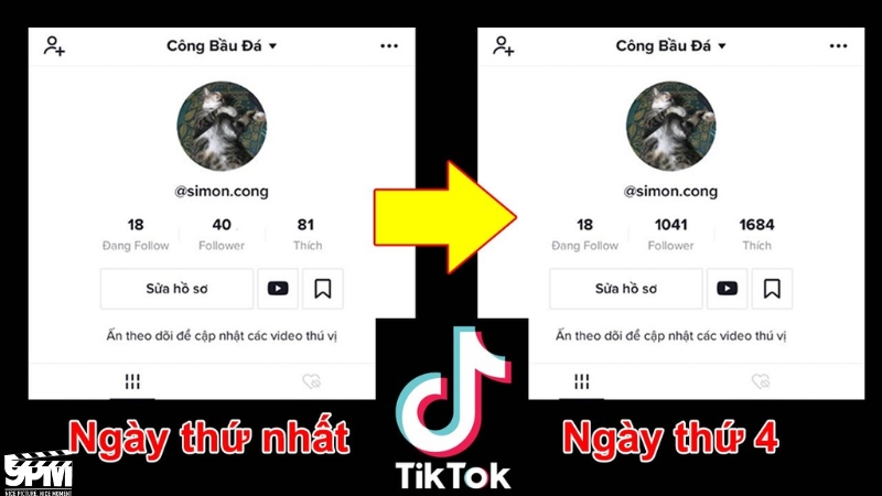 Việc đăng tải video thường xuyên cũng giúp tăng follow TikTok hiệu quả