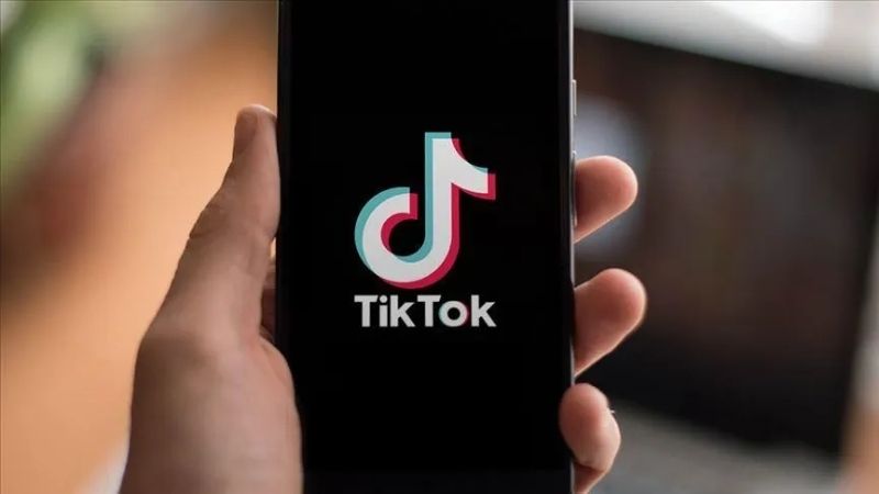 Bạn cần tải ứng dụng TikTok Viewer về