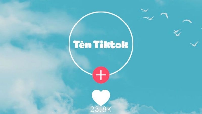 Hình đại diện trong suốt trên TikTok là những tấm hình đã được xóa phông